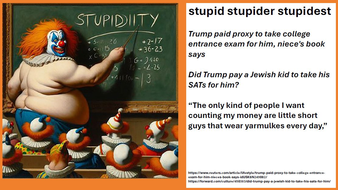 dt stupid dt stupid